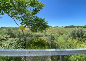 Foto 7 - Terreno agricolo Contrada Strane
 
snc, Cupello - foto 7