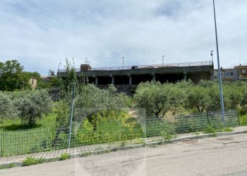 Foto 9 - Terreno agricolo Contrada Strane
 
snc, Cupello - foto 9