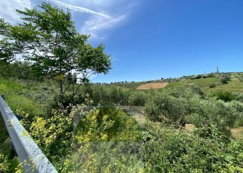 Foto 10 - Terreno agricolo Contrada Strane
 
snc, Cupello - foto 10