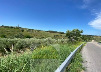 Foto 11 - Terreno agricolo Contrada Strane
 
snc, Cupello - foto 11