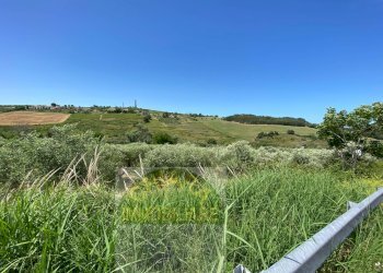 Foto 12 - Terreno agricolo Contrada Strane
 
snc, Cupello - foto 12