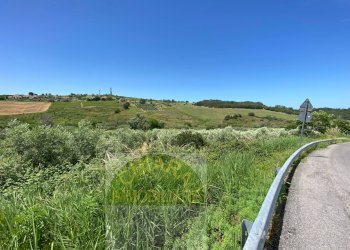 Foto 13 - Terreno agricolo Contrada Strane
 
snc, Cupello - foto 13