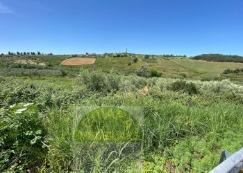 Foto 14 - Terreno agricolo Contrada Strane
 
snc, Cupello - foto 14