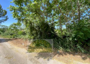 Foto 15 - Terreno agricolo Contrada Strane
 
snc, Cupello - foto 15