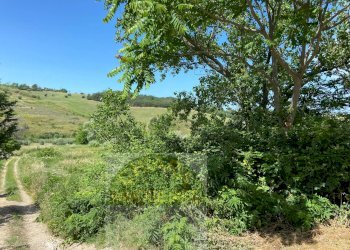 Foto 16 - Terreno agricolo Contrada Strane
 
snc, Cupello - foto 16