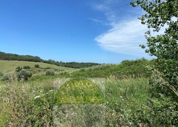Foto 17 - Terreno agricolo Contrada Strane
 
snc, Cupello - foto 17