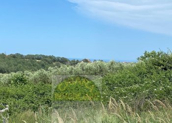 Foto 18 - Terreno agricolo Contrada Strane
 
snc, Cupello - foto 18