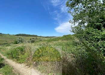 Foto 19 - Terreno agricolo Contrada Strane
 
snc, Cupello - foto 19