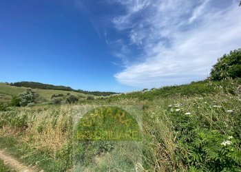 Foto 20 - Terreno agricolo Contrada Strane
 
snc, Cupello - foto 20