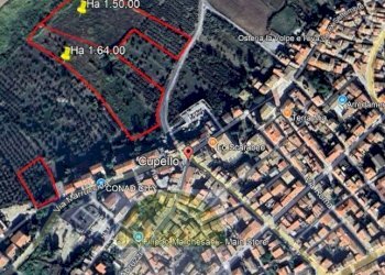 Foto 22 - Terreno agricolo Contrada Strane
 
snc, Cupello - foto 22