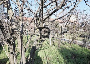 Terreno - Independent house via Montenero, 16, Volpiano - photo 7