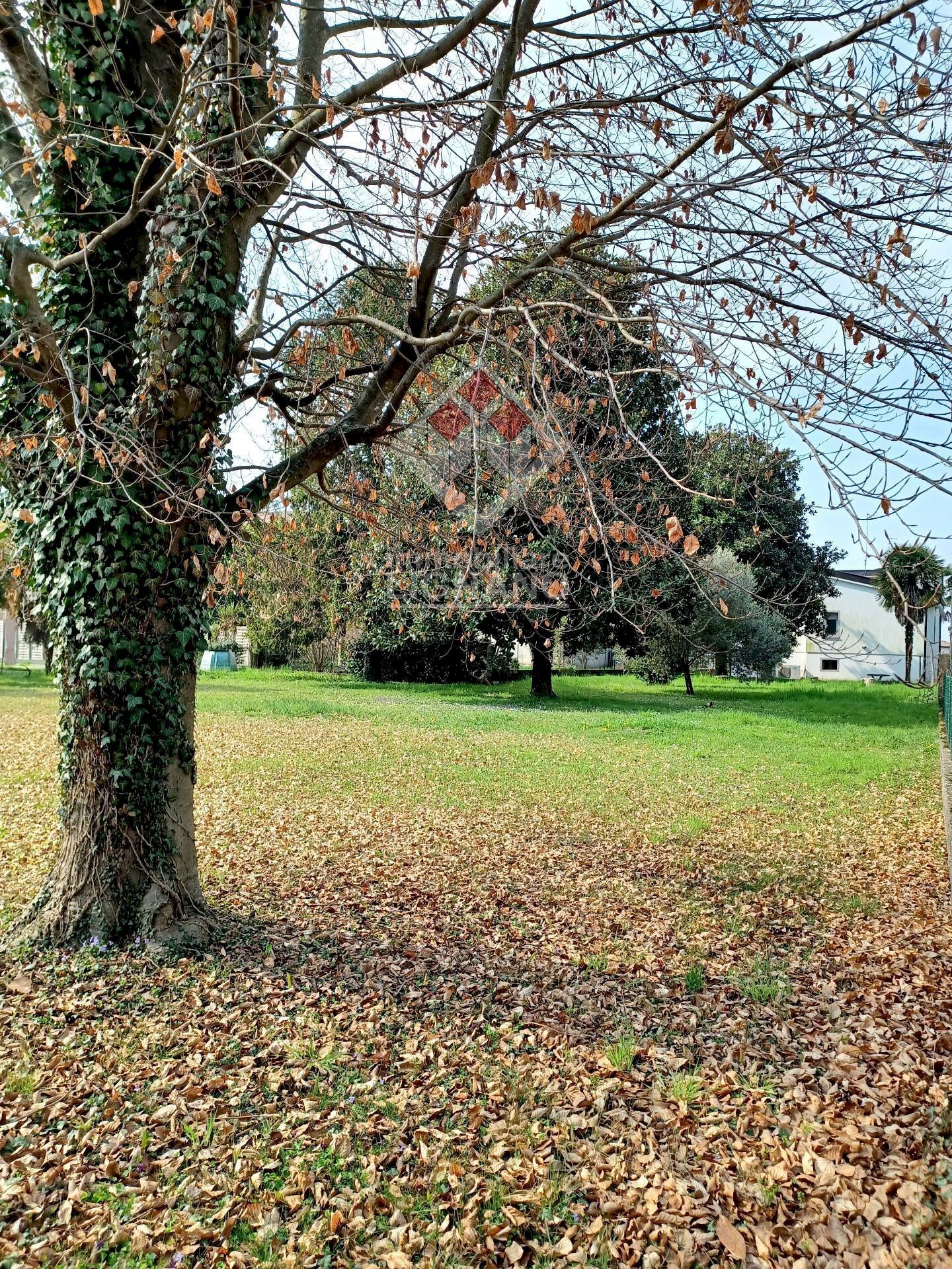 Foto 2 - Terreno edificabile Via Moross, Ronchis - foto 2