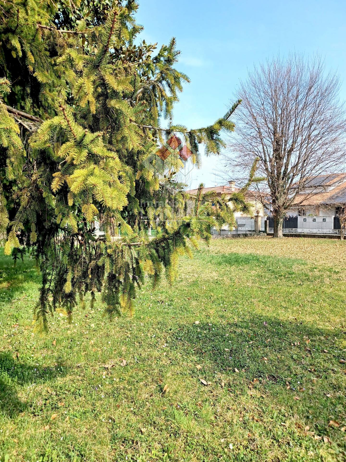 Foto 3 - Terreno edificabile Via Moross, Ronchis - foto 3