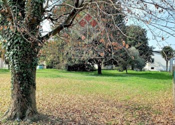 Foto 2 - Terreno edificabile Via Moross, Ronchis - foto 2