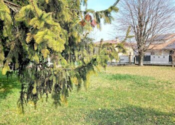 Foto 3 - Terreno edificabile Via Moross, Ronchis - foto 3