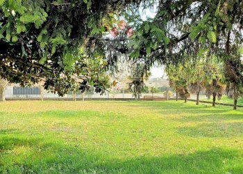 Foto 4 - Terreno edificabile Via Moross, Ronchis - foto 4