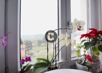 Dettagli - Trilocale via Chieri, 46, Pino Torinese - foto 9