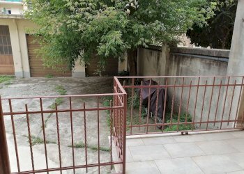 Cortile - Office via CARLO CAPELLI, 11, Torino (neighborhood Parella) - photo 14