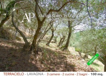 Terreno - Independent house via Valle Berissi, 7B, Lavagna - photo 21