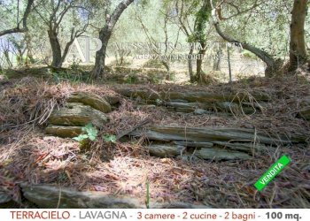 Terreno - Independent house via Valle Berissi, 7B, Lavagna - photo 33