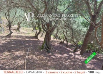 Terreno - Independent house via Valle Berissi, 7B, Lavagna - photo 34