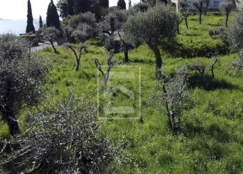 Foto 5 - Terreno edificabile via Villavetro
155/A, Gargnano - foto 5