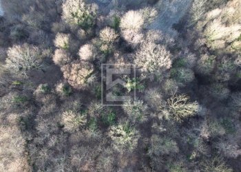 Foto 6 - Agricultural land Via XXV Aprile, Barghe - photo 6