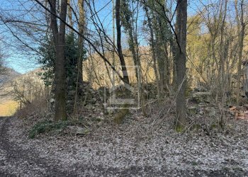 Foto 15 - Agricultural land Via XXV Aprile, Barghe - photo 15