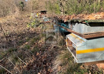 Foto 18 - Agricultural land Via XXV Aprile, Barghe - photo 18