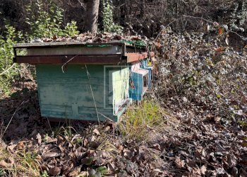 Foto 20 - Agricultural land Via XXV Aprile, Barghe - photo 20