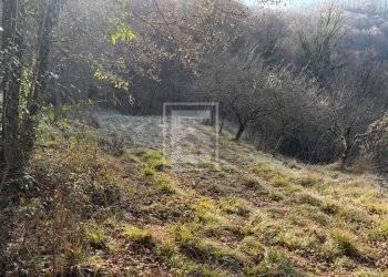 Foto 22 - Agricultural land Via XXV Aprile, Barghe - photo 22