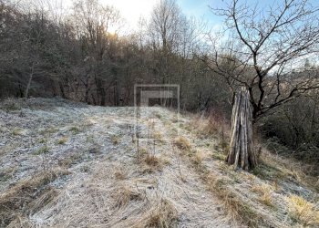 Foto 24 - Agricultural land Via XXV Aprile, Barghe - photo 24