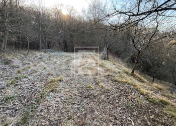 Foto 27 - Agricultural land Via XXV Aprile, Barghe - photo 27