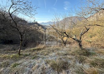 Foto 28 - Agricultural land Via XXV Aprile, Barghe - photo 28