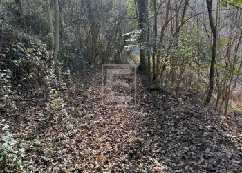 Foto 29 - Agricultural land Via XXV Aprile, Barghe - photo 29