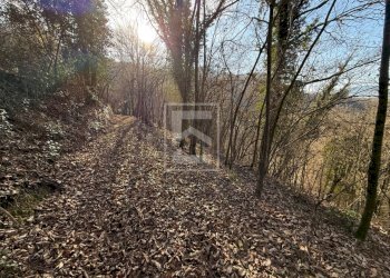 Foto 30 - Agricultural land Via XXV Aprile, Barghe - photo 30