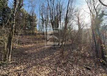 Foto 31 - Agricultural land Via XXV Aprile, Barghe - photo 31