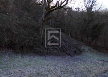 Foto 32 - Agricultural land Via XXV Aprile, Barghe - photo 32