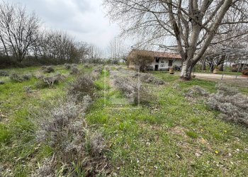 Foto 58 - Rustic strada gabbiana
 
6, Castellucchio - photo 58