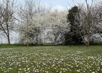 Foto 59 - Rustic strada gabbiana
 
6, Castellucchio - photo 59