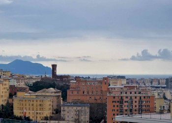 Vista - Two-room apartment Genova (neighborhood Lagaccio) - photo 1