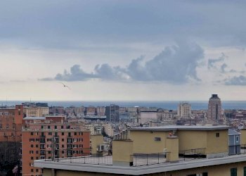 Vista - Bilocale Genova (zona Lagaccio) - foto 16