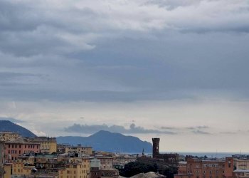 Vista - Two-room apartment Genova (neighborhood Lagaccio) - photo 17