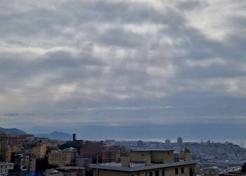 Vista - Two-room apartment Genova (neighborhood Lagaccio) - photo 21