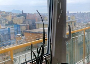 Vista - Two-room apartment Genova (neighborhood Lagaccio) - photo 25