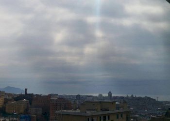 Vista - Two-room apartment Genova (neighborhood Lagaccio) - photo 26