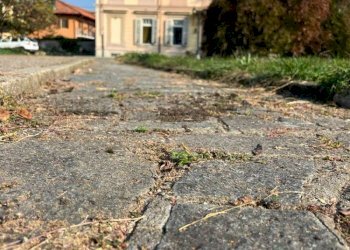 img-20251020-wa0031 - Four-room apartment via Valentino, 43, Pinerolo - photo 1