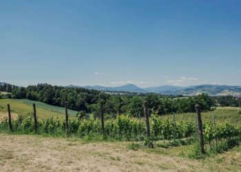 Terreno - Villa via La Marmora, 14, Trisobbio - foto 5