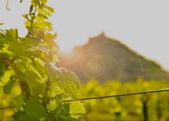 Altro - Villa via La Marmora, 14, Trisobbio - foto 7