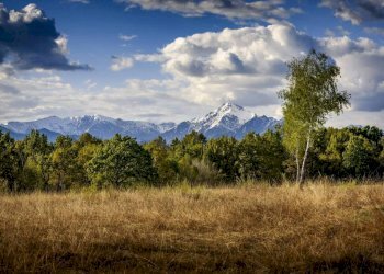 Terreno - Villa via La Marmora, 14, Trisobbio - foto 9